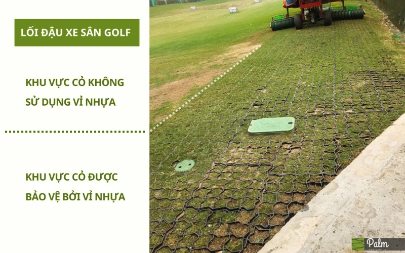 Vỉ Trồng Cỏ Chịu Lực | Tất Tần Tật Về Lợi Ích, Ứng Dụng Và Cách Lắp Đặt